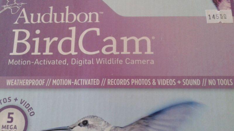 Bird cam