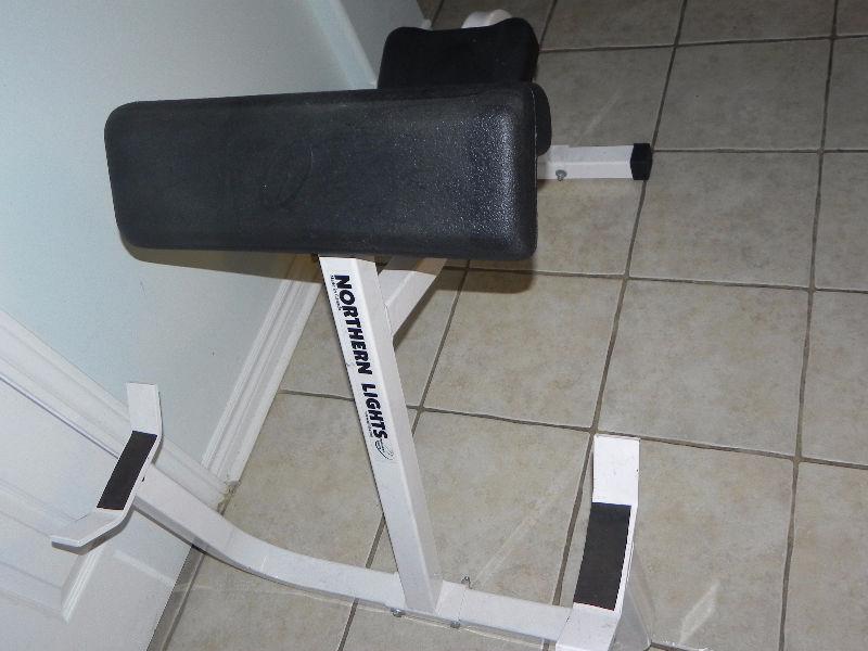 NORTHERN LIGHTS: Preacher Curl Seated Excellent condition