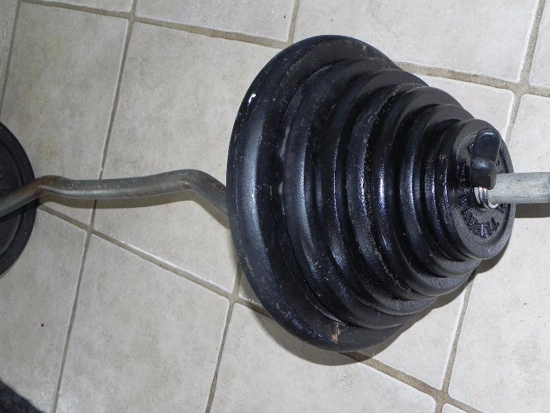 Weider plates (132 lbs), EZ curl bar