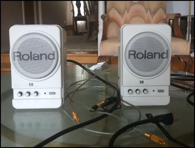 Roland Speakers Excellent condition