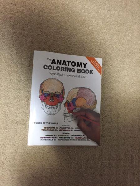 Anatomy colouring book