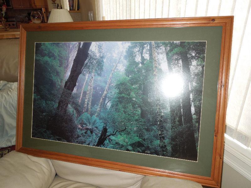 3 Beautiful Outdoor Scenes with Beautiful Wood Frames- $25 each