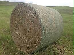64 First Cut Tame Hay Bales