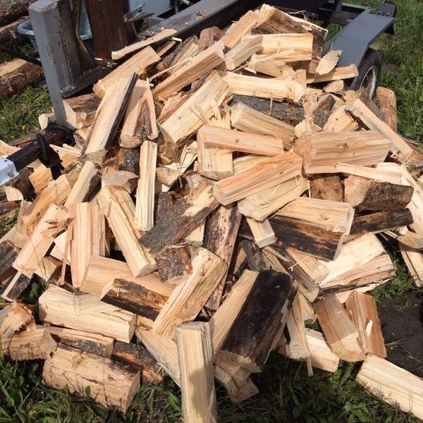 Firewood fire wood bundles.big pine bundles cheap price.5 each
