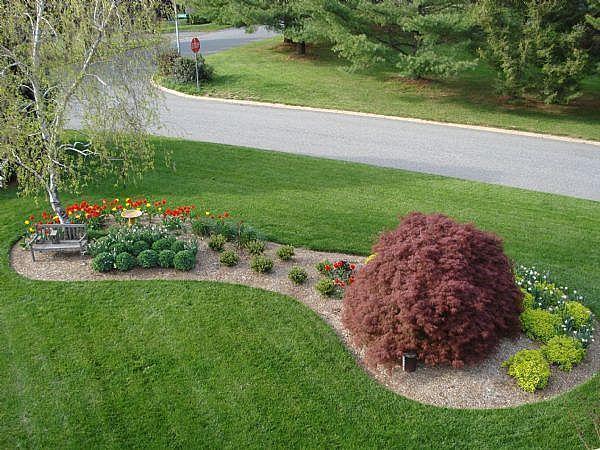 Small job Expert - SOD and rocks more 587 332 2830