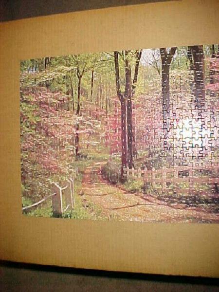 STERLING FOREST JIGSAW PUZZLE