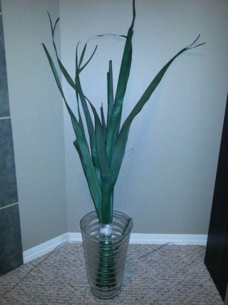 Glass Vase and Reeds