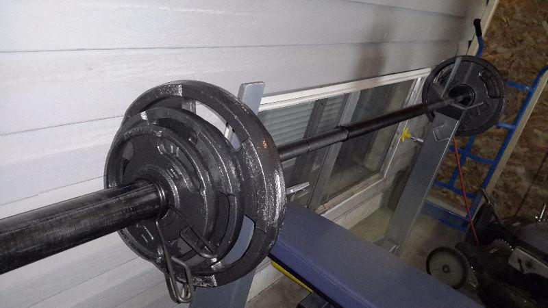 Bench and Olympic weights