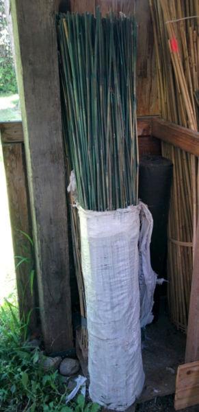5' Bamboo stakes green - new