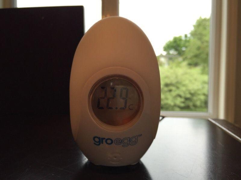 Gro Egg Room Temperature Thermometer