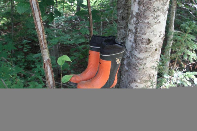 Chain saw boots