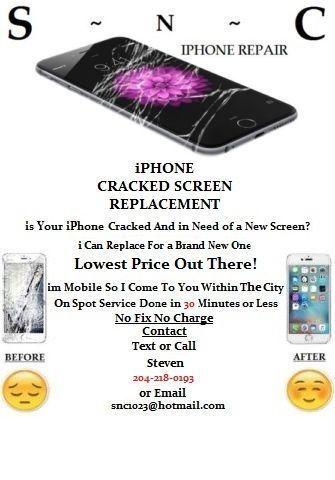 iPhone 6,6 Plus Cracked Screen Repair (WE COME TO YOU)