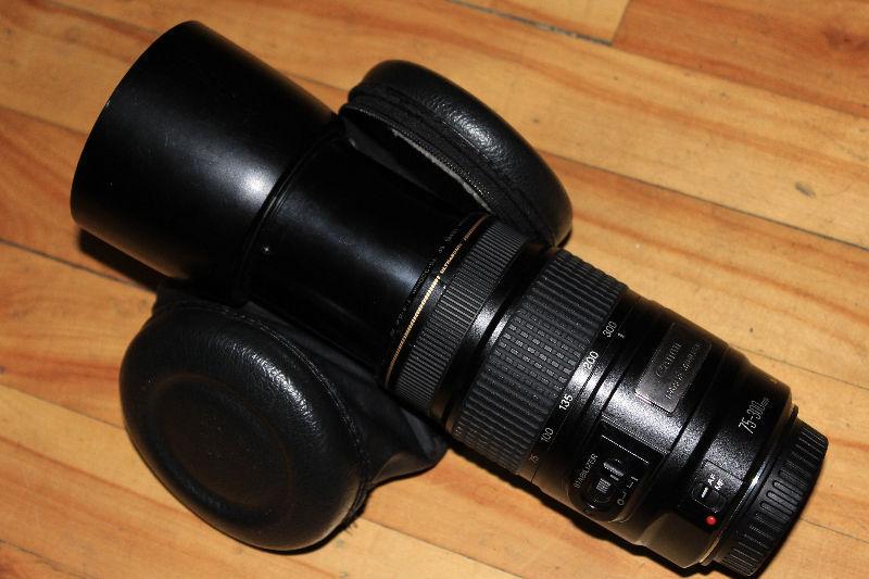 Canon-EF-75-300mm-IS-USM-Image-Stabilizer-Zoom-Lens