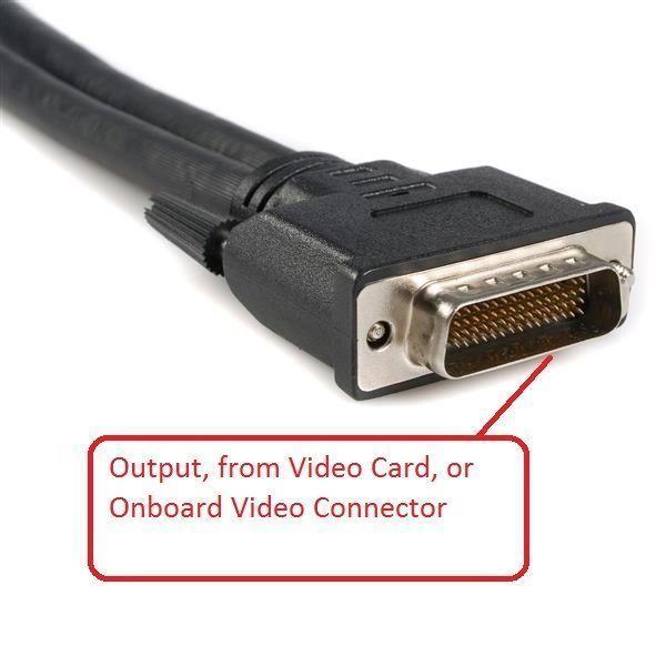 Wanted to buy 2-DMS-59 Dual Head DVI Adaptor Cable