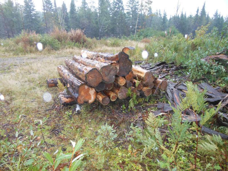 20 morceaux de cèdre de 5' a 12' de dia.et 8' de long