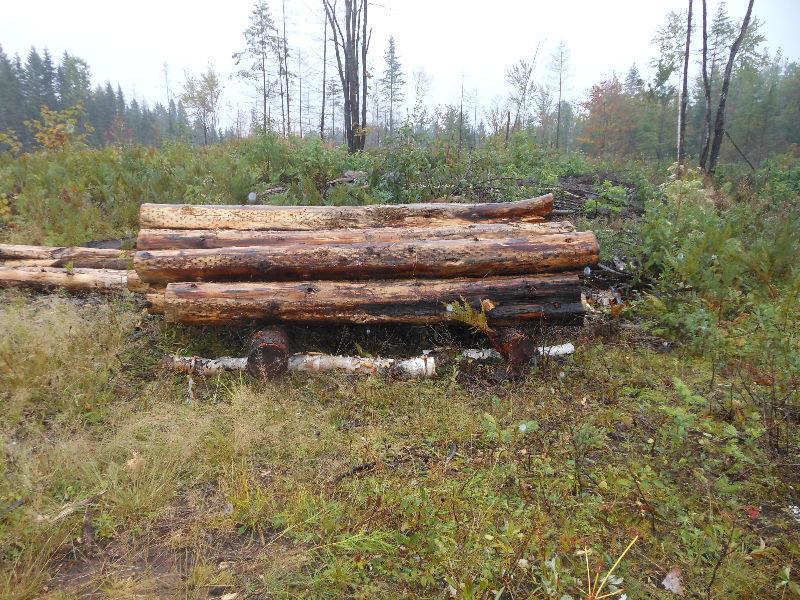 20 morceaux de cèdre de 5' a 12' de dia.et 8' de long