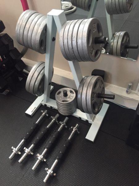 Bench with 110 lbs adjustable weights and rack