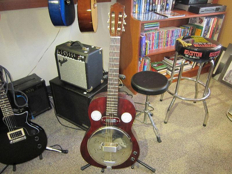 Acoustic-Electric Steel Guitar For Sale