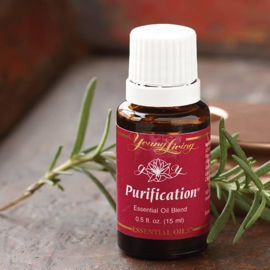15 ml Purification Young Living Essential Oil Blend Wholesale