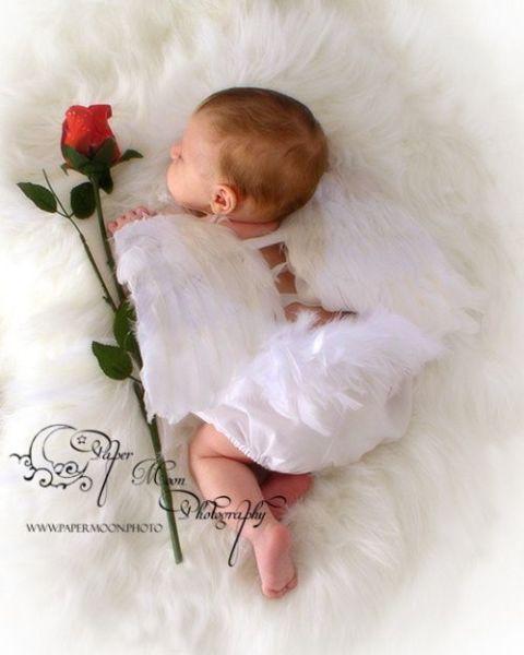 Wanted: Looking For White Feather Angel Wings For Baby!