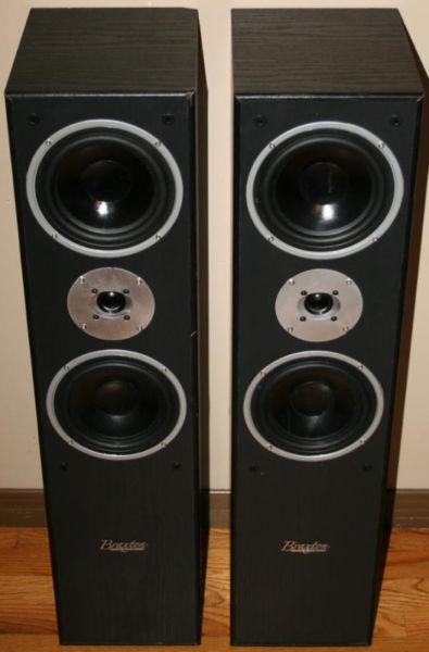 Braxton E1004 Tower Speakers