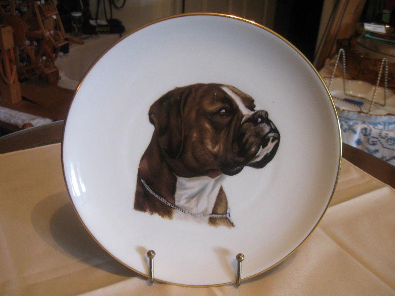 ABSOLUTELY GORGEOUS 8-in. BOXER DOG PORTRAYAL CHINA PLATE