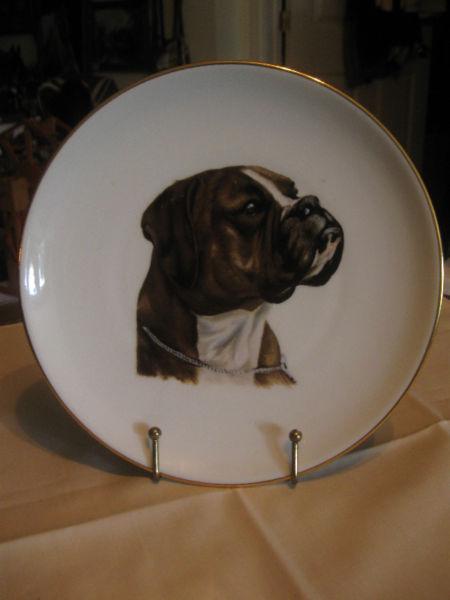 ABSOLUTELY GORGEOUS 8-in. BOXER DOG PORTRAYAL CHINA PLATE