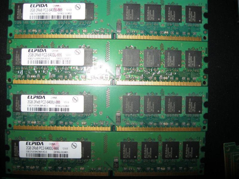 Elpida 2GB DDR2 6400U desktop RAM memory sticks