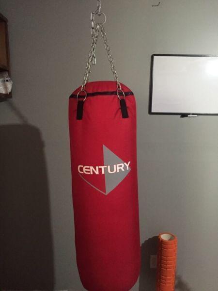 Punching bag for sale