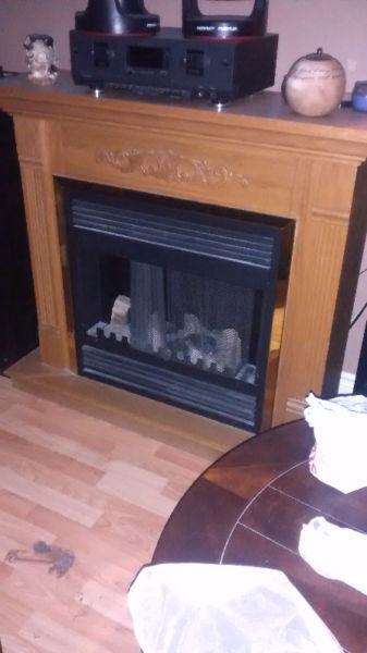 Electric Fire Place 130.00