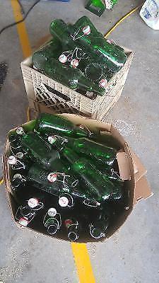 48 Grolsch Bottles fro home brew