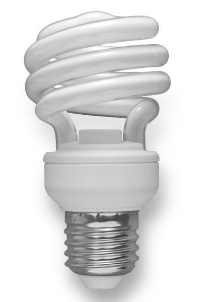 $1 CFL bulbs rarely used