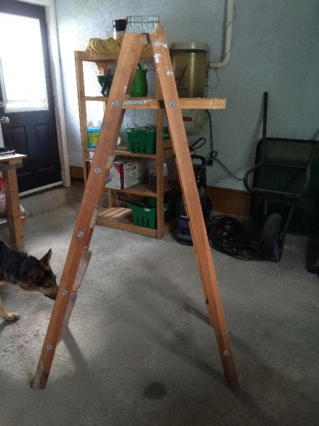 Painter's Step Ladder