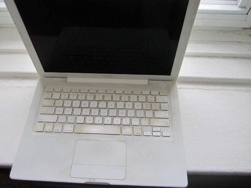 2008 Macbook, working but old