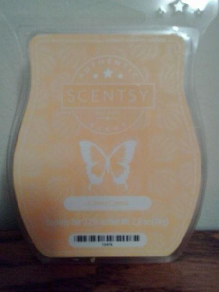 5 cubes in clamshell of Scentsy's Camu Camu