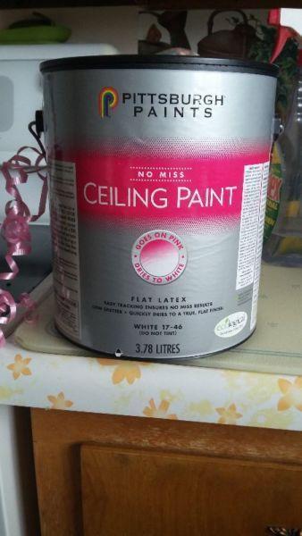 Ceiling Paint