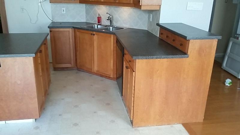 Kitchen Cabinet with Dishwasher and Stove hood