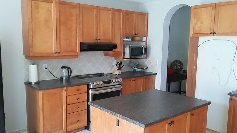 Kitchen Cabinet with Dishwasher and Stove hood