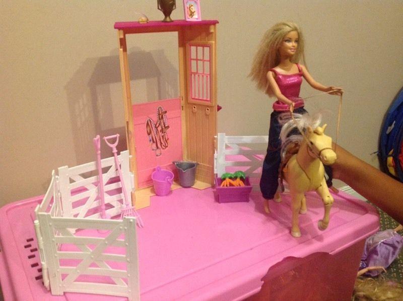 Barbie and her horse and accessories
