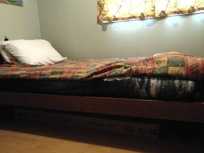 Single Platform Bed