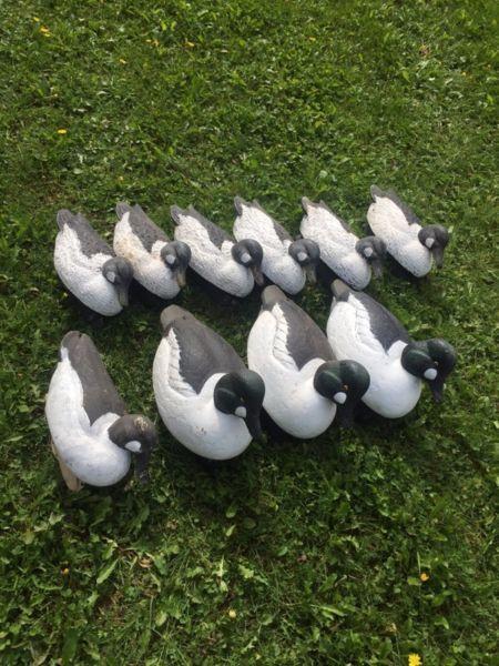 Waterfowl Decoys