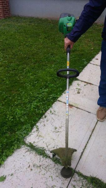 Whipper snipper