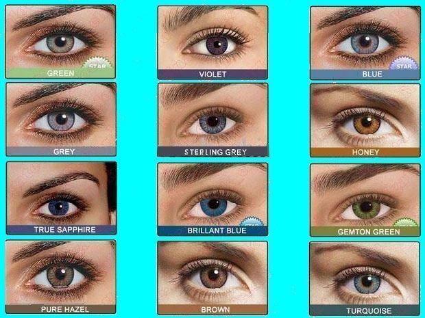 freshlook contact lenses/verre de contact