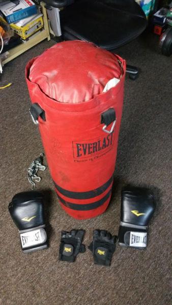 Punching Bag Everlast & Gants