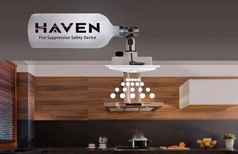 Protect Your Priceless Art & Collectibles With The HAVEN