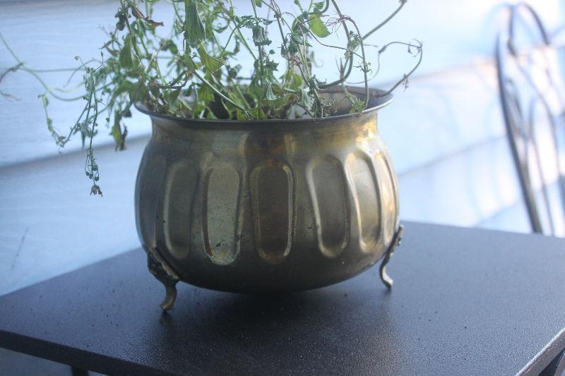 Brass Planter / Plant Pot