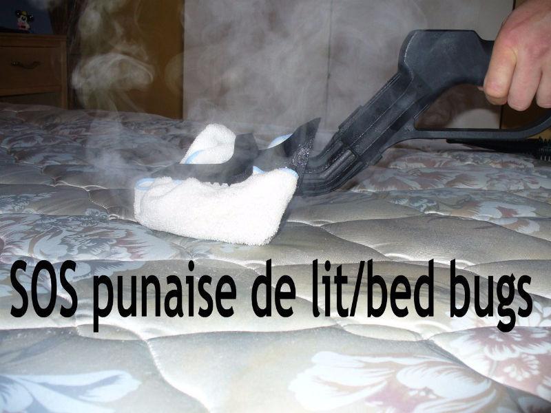 SOS punaise de lit/bed bugs(location d un nettoyeur vapeur)