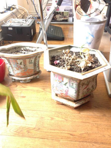 pots a fleurs oriental