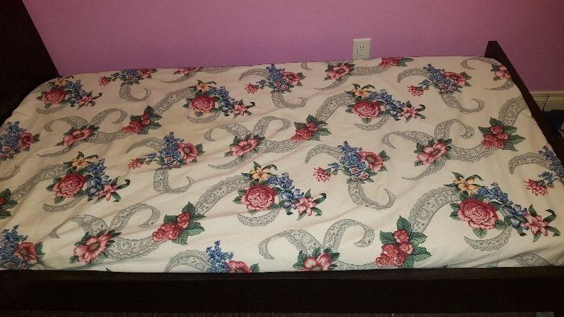 Twin Bed and Mattress