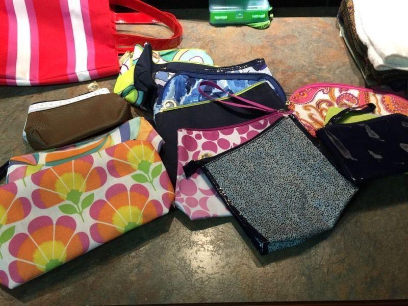 Assorted Cosmetic Bags